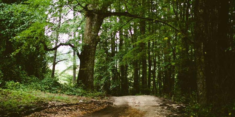 Tour Guides in Pagosa Springs, Colorado